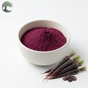 ผงสีม่วงจากแครอทออร์แกนิกธรรมชาติ, ผงน้ำแครอทดำเข้มข้น - Product Image 1
