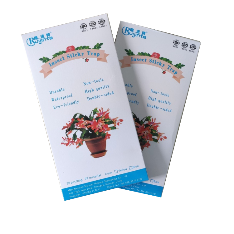 Wholesale Product PP Wasp Trap with
