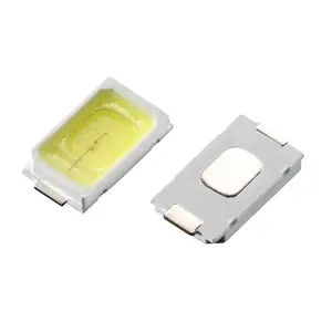 ホワイトレッドグリーンブルーイエローカラーエピスターチップ57300.5 W 5630 SMD LED