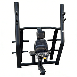 ASJ-A032 <span class=keywords><strong>meilleur</strong></span> fabricant professionnel d'équipement de gymnastique commerciale <span class=keywords><strong>banc</strong></span> de <span class=keywords><strong>musculation</strong></span> presse vente chaude <span class=keywords><strong>banc</strong></span> vertical - Product Image 1