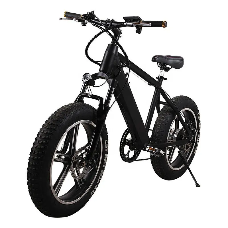 350W Ebike 48v 10ah 숨겨지은 건전지 전기 Offroad 자전거 남자 성인을 위한 20 인치 뚱뚱한 타이어 전기 자전거