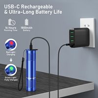 Lampe torche LED rechargeable et zoomable, haute luminosité, en aluminium, mini lampe portable pour la randonnée, les situations d'urgence, la promenade avec le chien, le camping en plein air