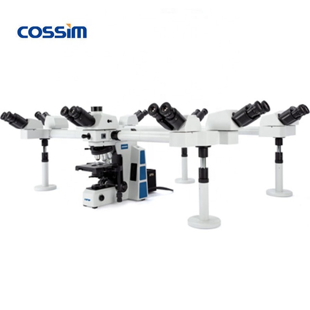 RX50-DO10 Ten Head Multi-viewing Teaching Biological Microscope for School Lab