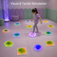 Équipement tactile visuel, blocs d'équilibre lumineux LED, jouet sensoriel, pierres de marche en gel liquide LED pour la salle de jeux des enfants - Pack de 6 pièces