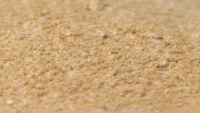 Poudre d'oligosaccharides d'alginate de haute pureté, synergiste multifonctionnel, facile à mélanger et à doser pour application foliaire et racinaire