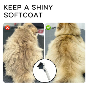 Brosse de toilettage pour animaux de compagnie améliorée, auto-nettoyante à une touche, pour chats et chiens à poils longs - Product Image 5