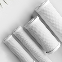 CTO kartrid Filter karbon aktif blok karbon untuk bau air bersih dan peningkatan rasa kartrid Filter air