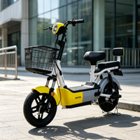 Vélo électrique rétro à 2 roues avec panier avant, scooter électrique à double siège, vélo électrique de banlieue pour adultes, vente en gros