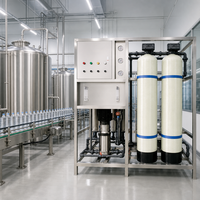 Système de purification d'eau par osmose inverse industriel SUS304, filtre à eau RO, 1000 LPH pour usine d'eau en bouteille
