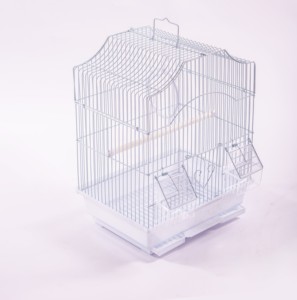 Pas dayanıklı lüks Villa Metal kuş evi papağan kafes hayvan kafesleri kuş - Product Image 4