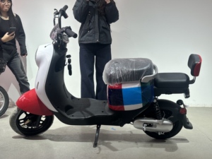 Vélo électrique 48V, vélo de ville électrique, VTT avec batterie 15ah <span class=keywords><strong>KITE</strong></span> - Product Image 1