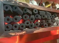 Presse à briquettes automatique pour sciure de bois et charbon de bois, broyeur de bois haute capacité, équipement de production de charbon de Turquie