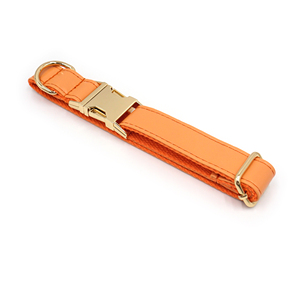 La mayoría de los artículos de tendencia en este momento suministros para mascotas Collar personalizado <span class=keywords><strong>airtag</strong></span> holder hebillas doradas collar de perro collares de perro de alta calidad - Product Image 4