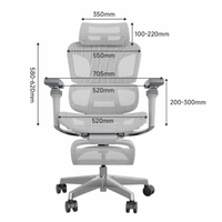 Chaise ergonomique réglable 4D de qualité supérieure avec dossier respirant en maille et support lombaire séparé et réglable pour le bureau, le gaming et l'étude