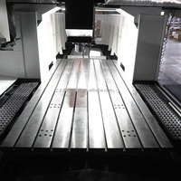 Fresadora CNC de pórtico de alta resistencia TDL5025 para corte de aluminio a alta velocidad y mecanizado de piezas metálicas grandes