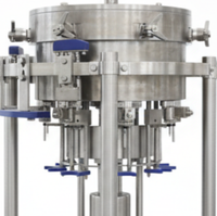 Machine de remplissage entièrement automatique pour boissons gazeuses, usine d'embouteillage d'eau gazeuse, ligne de production de boissons en bouteilles PET