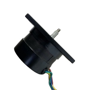 Motor CC sin escobillas 63BLS de 63 mm con montaje de brida, 50 W, 36 V, motor de imán permanente - Product Image 2