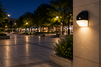Lampe murale solaire LED dissimulée 2W 220lm anti-éblouissement à éclairage indirect large et doux pour jardin, cour, clôture et allée extérieurs