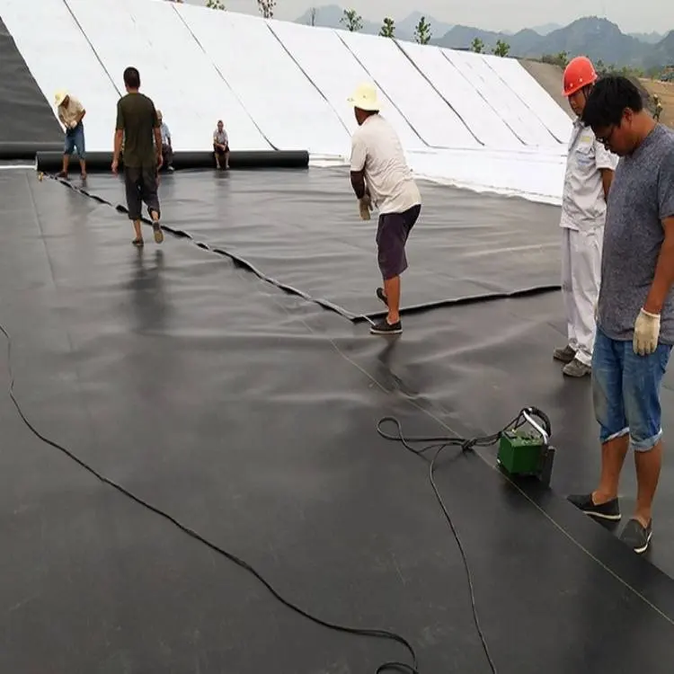 중국 틸라피아 물고기 농업 Geomembrane HDPE 1mm 두꺼운 연못 라이너 HDPE 플라스틱 시트 롤 13 년 제조 업체