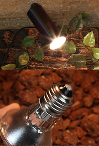 Chất lượng cao kích thước lớn Halogen bò sát ánh sáng UVA UVB bóng đèn nhiệt cho loài bò sát - Product Image 3