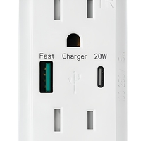 Stopkontak Dinding Pengisian Cepat Standar AS PD20W dengan Port USB Type-C dan USB-A, Panel PC, Arus Terukur 15A, 2 Stopkontak AC untuk Penggunaan Rumah Tangga