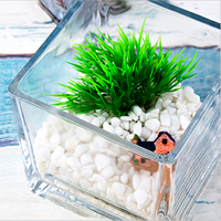 Vente en gros de pots de fleurs carrés en acrylique pour aquarium, mini bocal à poissons en porcelaine pour le bureau, vase à poissons pour la maison et l'art