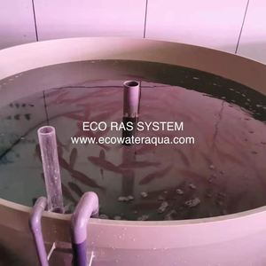 ECO เครื่องจักรการเกษตร/สถานรับเลี้ยงเด็ก/โรงเพาะฟัก/เติบโตออกจากระบบ Ras - Product Image 4