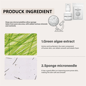 Cocok untuk digunakan di Salon kecantikan Spas klinik estetik SEMPURNA UNTUK di rumah <span class=keywords><strong>DIY</strong></span> perawatan wajah bubuk spons air tawar alami - Product Image 4