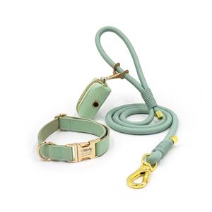 Ensemble collier et laisse tactique en cuir vert sauge, durable, gravé personnalisé, cadeaux pour chien, mariage, chiot - Product Image 1