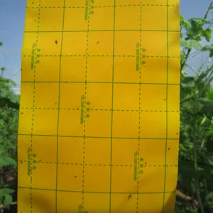 Trampero agrícola Monitor Trampa para insectos Tablero Pegamento para moscas Trampa Hoja de papel