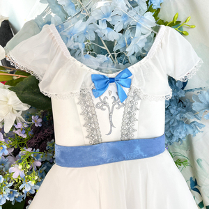 AL-R0854 robe de performance professionnelle jupe longue pour adultes et enfants Tutu de ballet élégant fabriqué en Espagne - Product Image 1