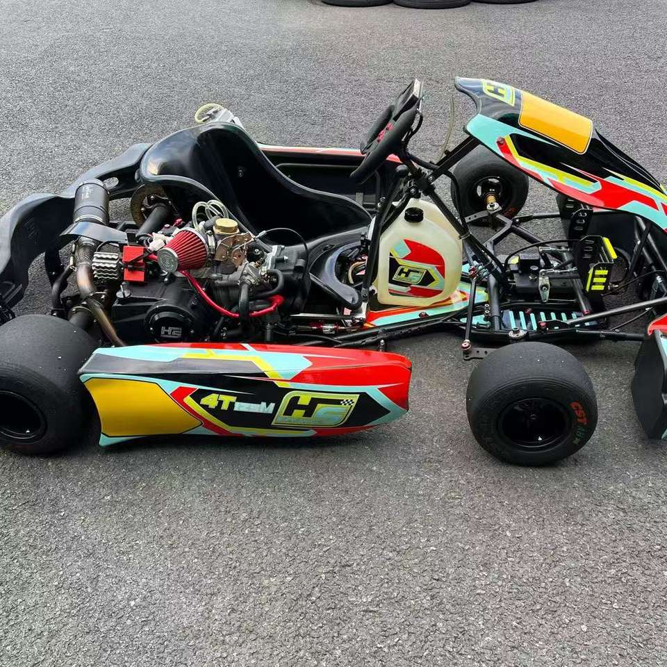 2025 New Generation Pro Racing Pedal Kart 4-Speed Transmission ...