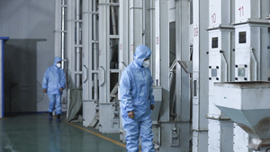 Белая фасоль оптом, высокобелковая фасоль каннелли, пищевая, оптовая упаковка 25 кг - Product Image 6