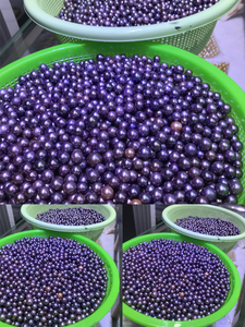 Высокое качество 9-12 мм AA + большой фиолетовый жемчуг DIY на заказ ювелирные изделия с золотым цветом с полуотверстием идеальный натуральный пресноводный свободный жемчуг - Product Image 4