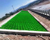 Système cellulaire de renforcement du sol en géocell HDPE perforé, géocell pour route, système de maintien du sol en plastique HDPE pour jardin, usine