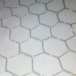 Treillis métallique treillis métallique hexagonal en acier inoxydable treillis métallique galvanisé