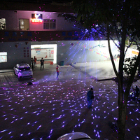 Ip65 intérieur 2w ciel étoilé luciole effet Laser projecteur lumière Laser pour fête mariage parc rue