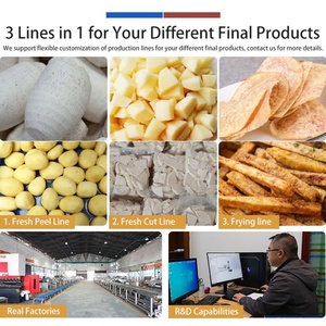Línea de Producción 3 en 1 Personalizable para el Lavado, Pelado, Corte y Fritura de Taro, Línea Industrial de Procesamiento de Taro - Product Image 6