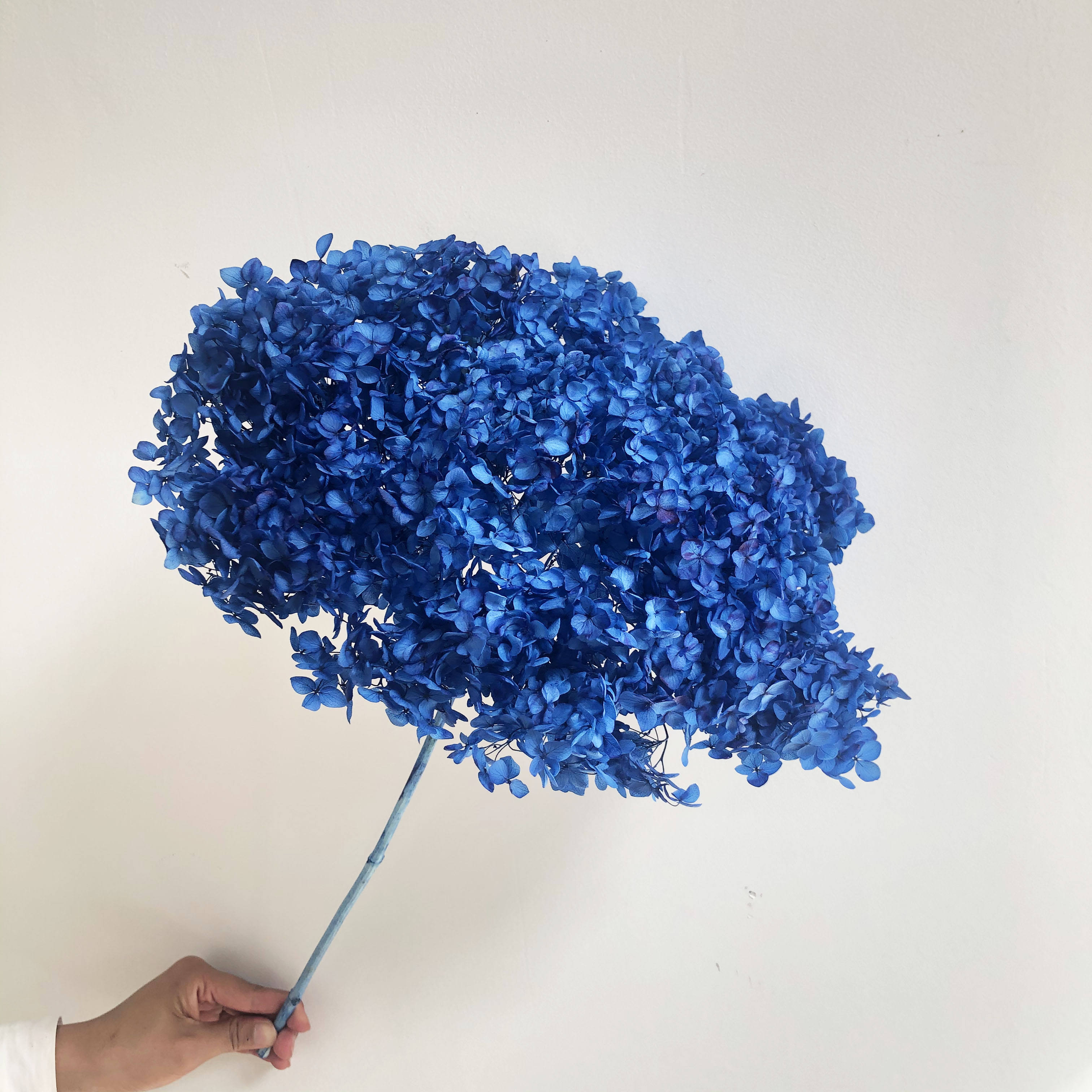 สีน้ำเงิน