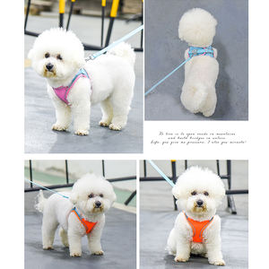 小さな子犬の犬のハーネスリーシュセットチワワ子猫のための鉛と柔らかい通気性のあるペットメッシュ犬のベスト - Product Image 5