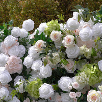 Fond de tissu d'hortensia Rose Rose pour décor de banquet de fenêtre de centre commercial de mariage pour la zone de bienvenue de la Saint-Valentin