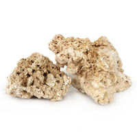 Roche naturelle sèche pour aquarium marin, roche de fond pour récif corallien, roche fossile poreuse pour aquascape et aménagement aquatique en eau salée