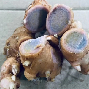 Raíces de Jengibre Cassumunar Morado Premium, Seleccionadas a Mano, con Bio-Compuestos Concentrados para Uso Herbal - Product Image 6