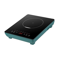 Cuisinière à induction portable RV & Travel Cooking, commande tactile, DC48V, 1200W, rechargeable par énergie solaire, alimentée par batterie