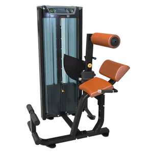 China Manufacturer Complete Commercial Indoor Strength Dual Function Gym Pin Loaded Back Extension machine