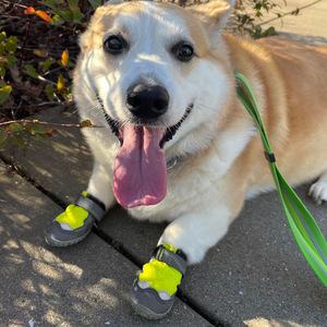 Vente chaude chaussures pour chiens de compagnie transfrontalières semelle dure Anti-saleté Anti-chute couvre-pieds antidérapant résistant à l'usure conception respirante - Product Image 2
