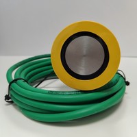 Pieza de prueba polarizante para protección catódica de tuberías enterradas, pieza de prueba natural de 10 mm²