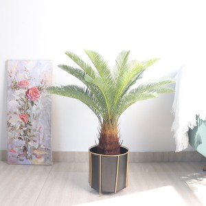 ต้นไม้ประดิษฐ์พลาสติกประดับต้นปาล์ม Revoluta และข้อมูลต้นมะเดื่อปลอมของตกแต่งภูมิทัศน์สีเขียว60ซม - Product Image 3