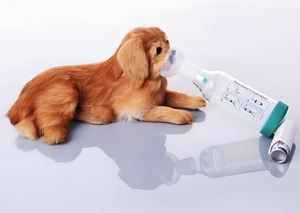 Masker Oksigen Pernapasan Anestesi Hewan, Masker Hewan Peliharaan yang Dapat Digunakan Kembali untuk Anjing & Kucing, Alat Medis Hewan Rumah Sakit Hewan - Product Image 6