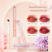 Ensemble de maquillage haut de gamme, rouge à lèvres velours, fard à joues, fard à paupières, crayon à sourcils, ensemble de 8 pièces, longue tenue, anti-bavures, cadeau de vacances
